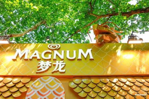 夢(mèng)龍 王嘉爾破次元聯(lián)動(dòng) 夢(mèng)龍pleasure store開啟無界歡愉