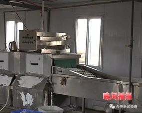 震驚 肥西這些 洗碗廠 環(huán)境觸目驚心,這樣的消毒餐具你還敢用嗎